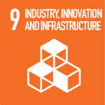 SDG 9 icon