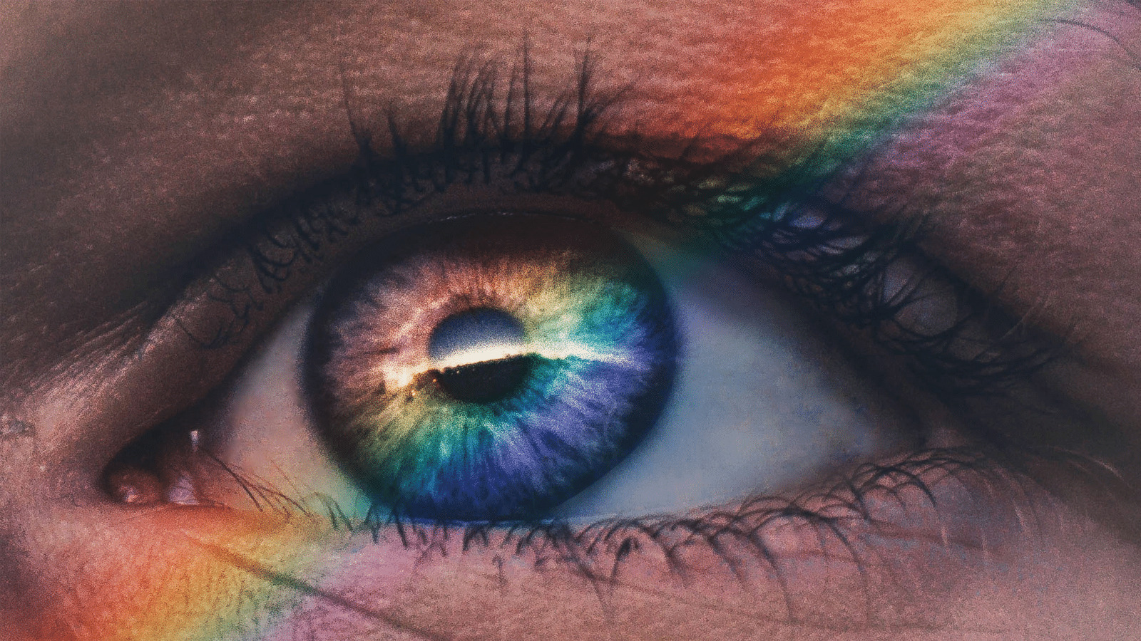 Read more about the article Pride Month 2021 : What Pride Actually Is ?