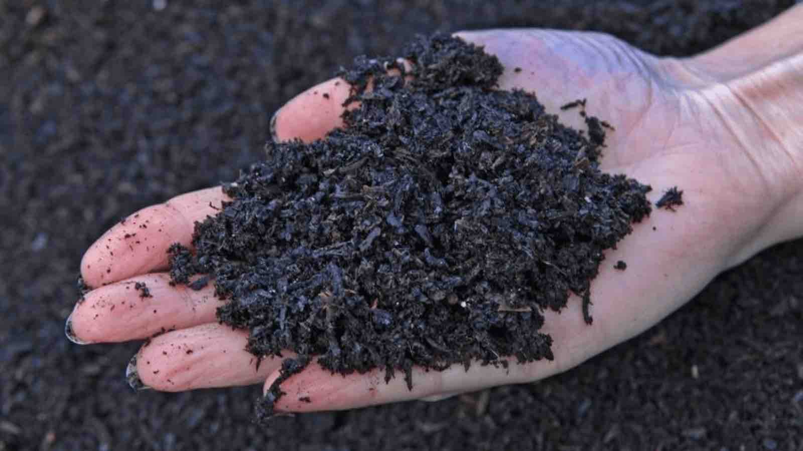 Read more about the article Biochar Breakthrough : A Climate Positive Solution