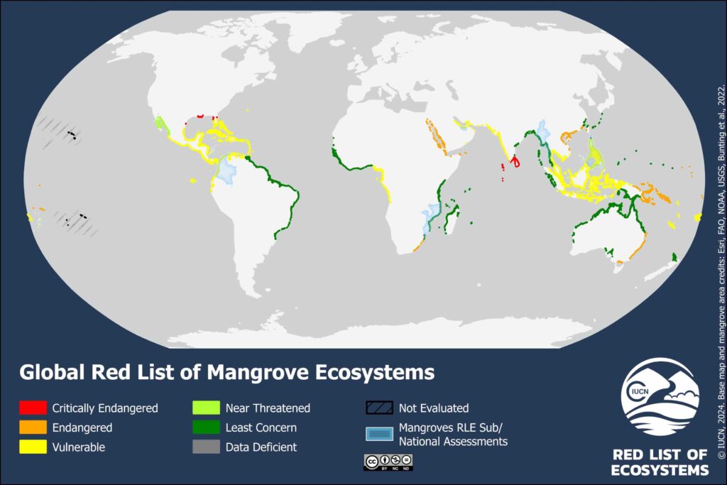 Global Mangroves by IUCN