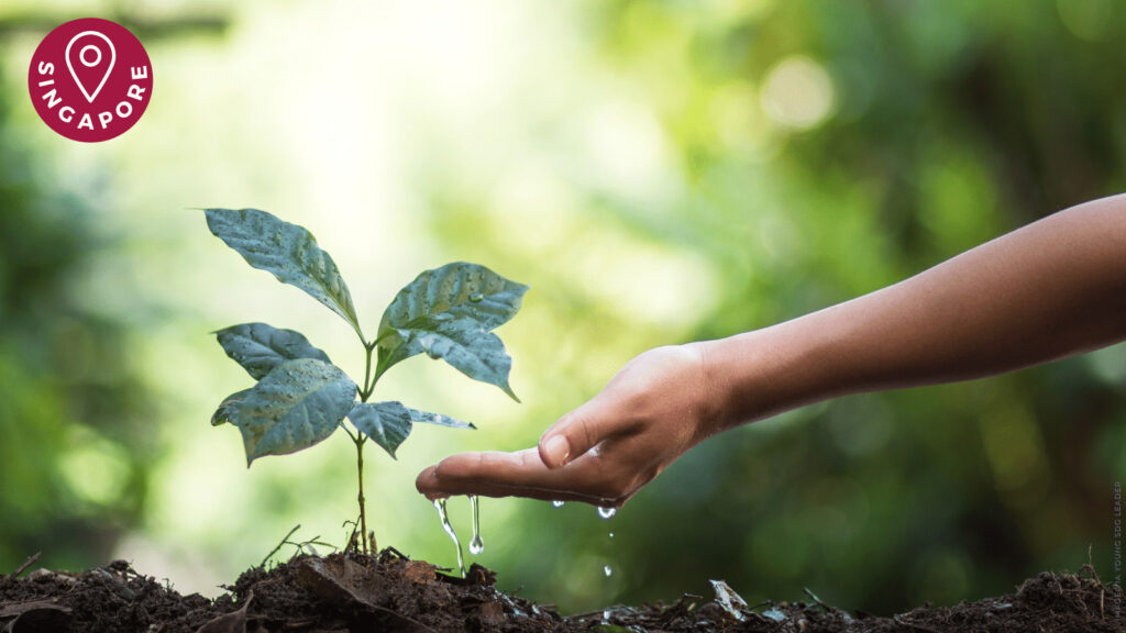 mindful farming course