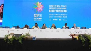 COP16 - Stocktaking plenary 31OCT 14 / Flickr