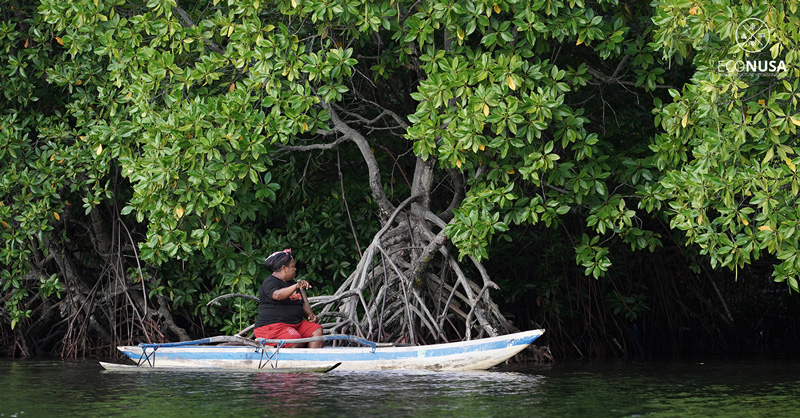 Female Forest in Papua