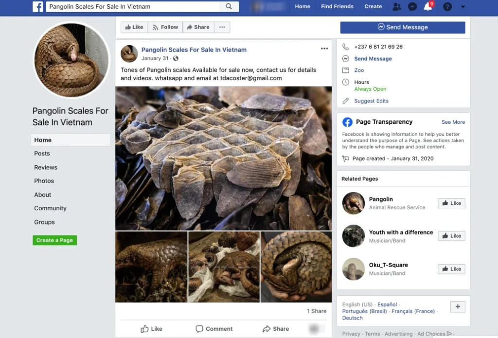 illegal pangolin sales on Facebook