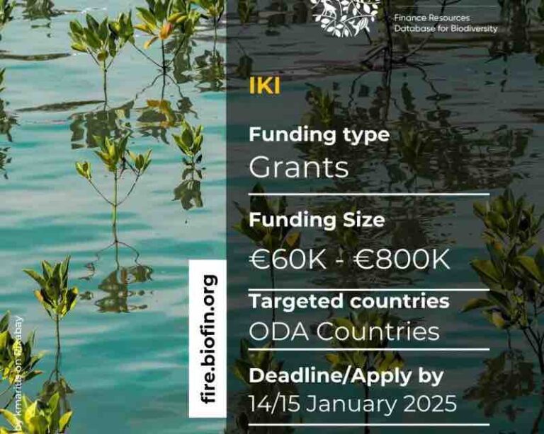 International Climate Initiative (IKI) Grants