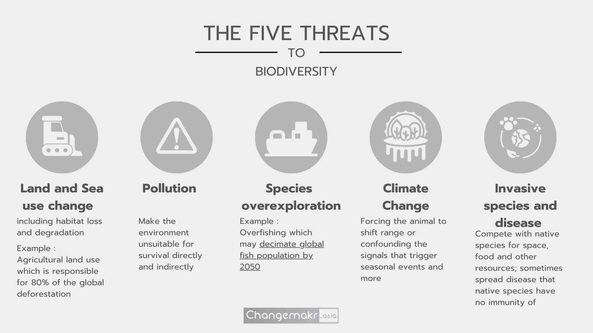 Regional Decline Of Earth's Biodiversity Visualisation :A Global Alarm ...