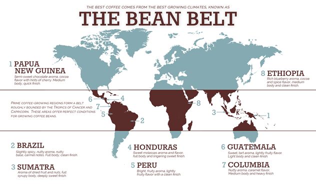 the bean belt