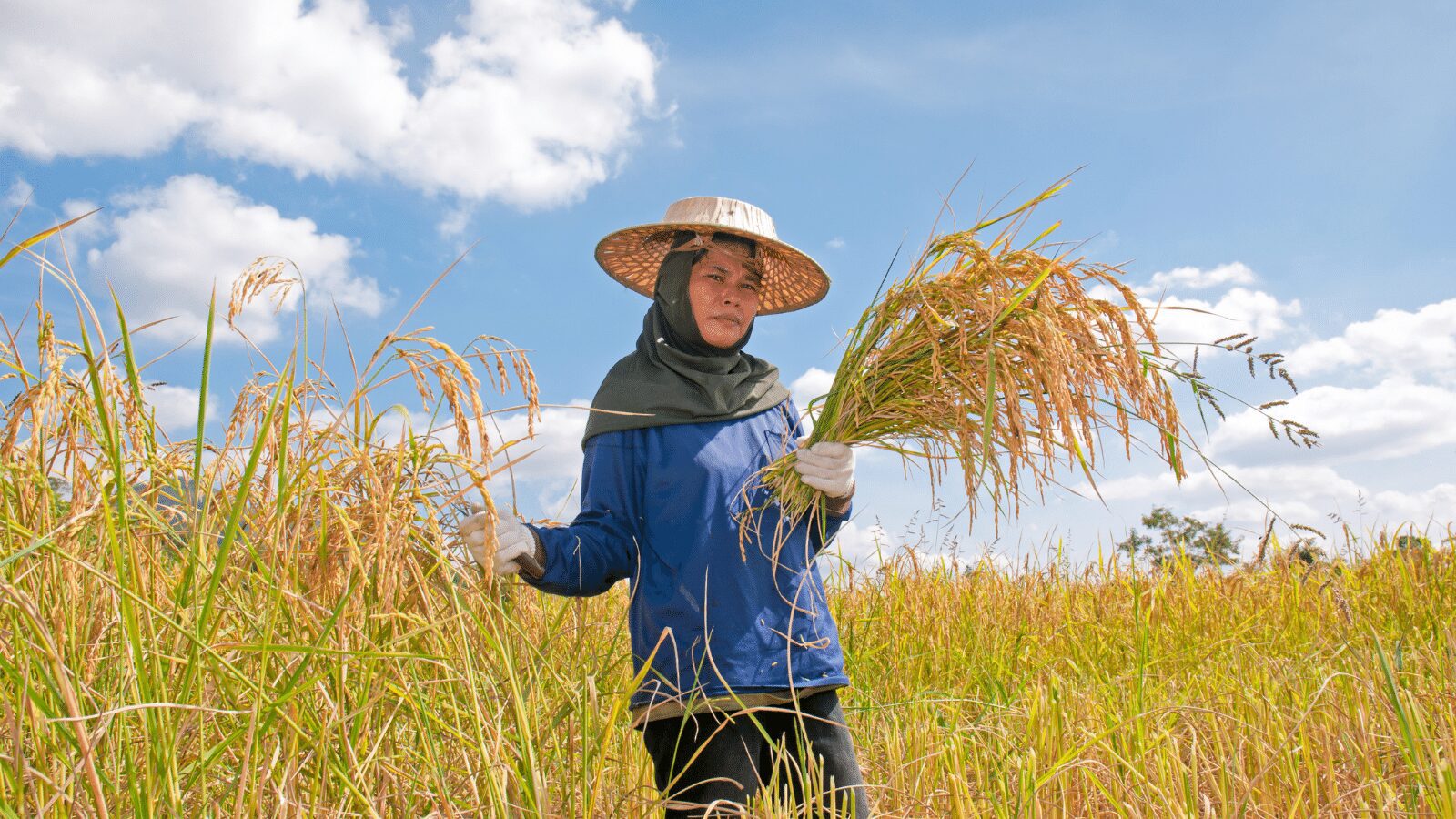 Read more about the article Grow Asia’s USD 1.6 Million Multi-Donor Impact Fund Boosting Women’s Economic Empowerment