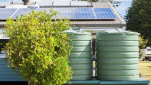 Solar Water Pumping for Sustainable Water Supply : 5 Things You Should Know
