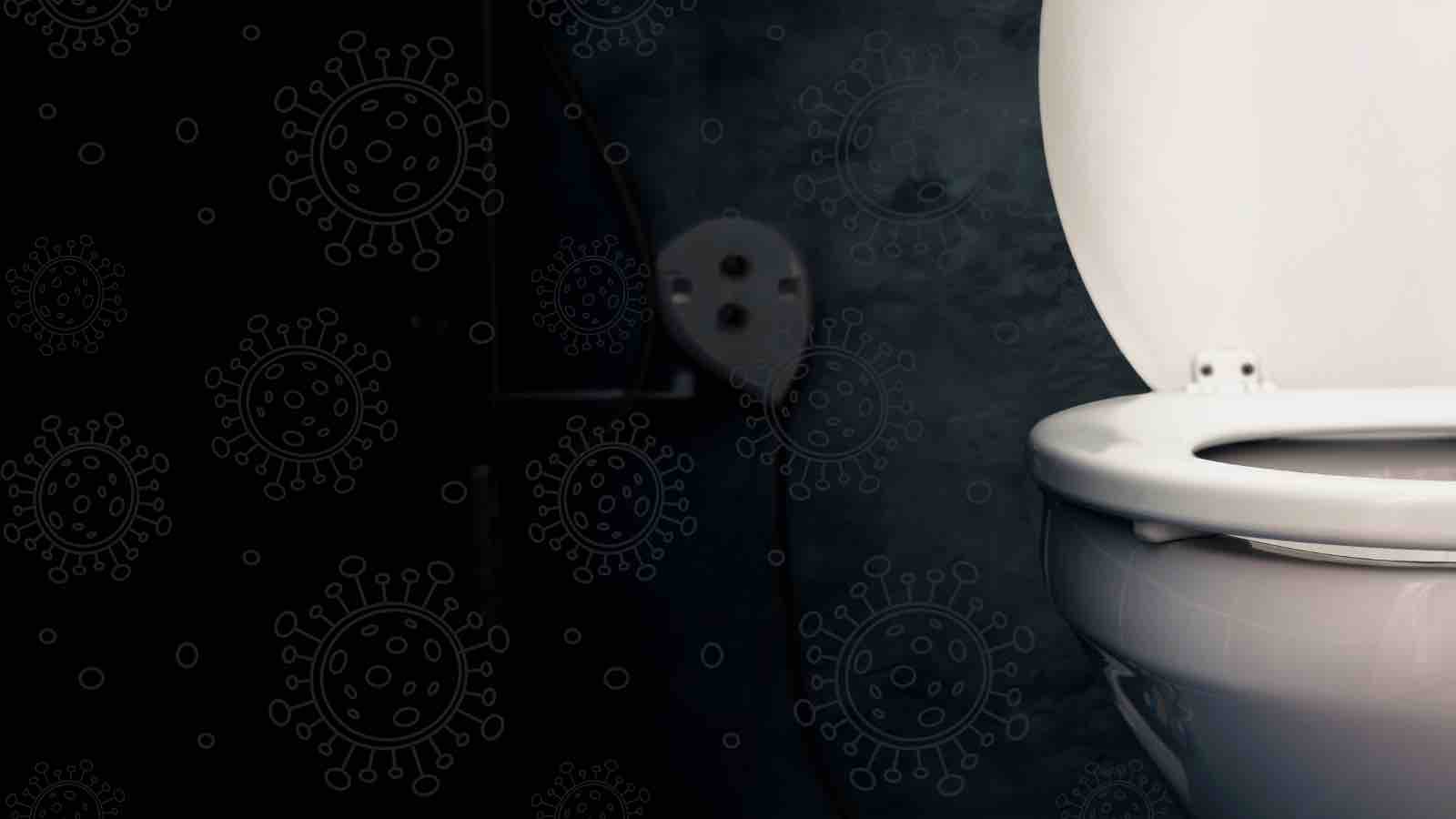 Read more about the article World Toilet Day, The Global Water Crisis and Our Collective Future