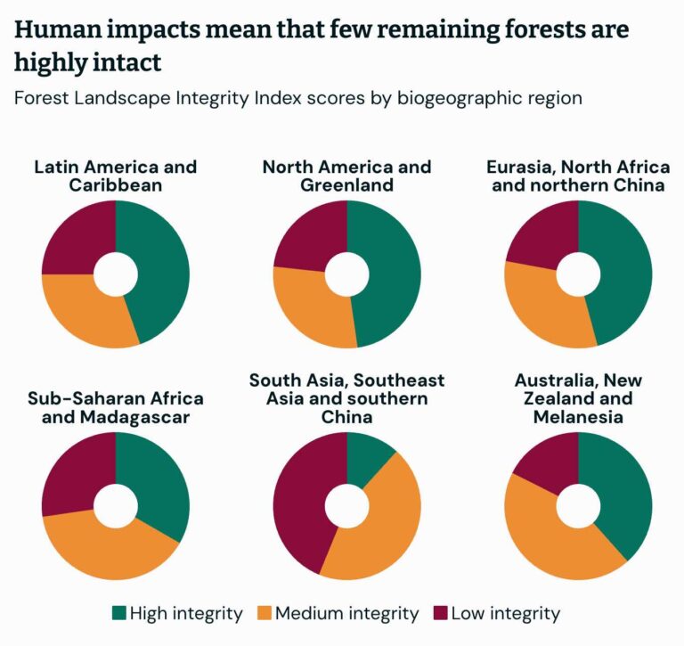 Forest Landscape Integrity Index